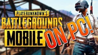 Play PUBG MOBILE CHICKEN DINNER