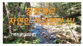 # 170   (계약완료)청정계곡에서 진정한 자연인 원하시는 분 !!!!!    (지번: 무풍면 증산리 산 22-3번지)