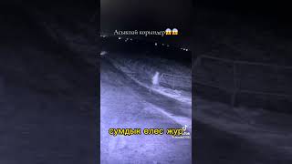 ЕЛЕС ЖУР 😱😱😱