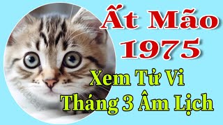 Ất Mão 1975 xem Tử Vi Tháng 3 Cơ Hội Mới Để Phát Triển Tài Vận Sự Nghiệp