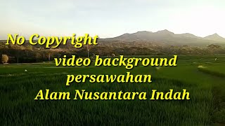 Hamparan sawah yang indah || video background no copyright + kecapi suling (Sunda)