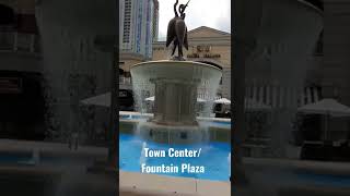 Amazing fountain in Town Center Virginia Beach #fountain  #virginiabeach #shorts