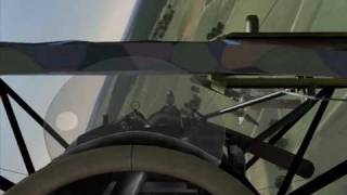 Rise of Flight - Albatros D V.