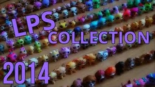 My LPS Collection ~2014~