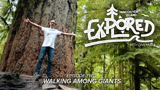 Walking Among the Giant Trees of Vancouver Island  (Cathedral Grove and Pacific Rim National Park)