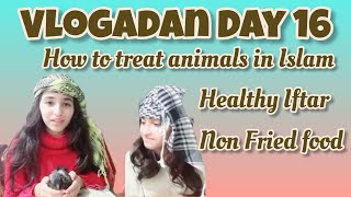 Vlogadan Day 16 || How to treat animals in Islam || A vlog about animals | Non fried Iftar