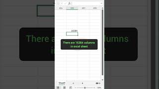 How to count the number of columns in Excel #shorts #youtubeshorts #viral