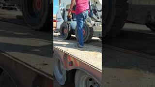 SHORTS BOBCAT HAS ALREADY CLIMBED ON A LOW LOADER