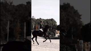 Now black Horses Showjumping are something else! 🐎