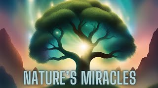 Nature’s Miracles #shorts #wildlife #miracle