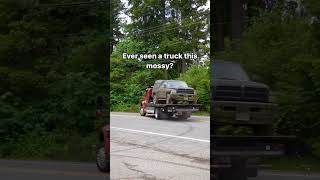 Truck covered in Moss