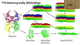 ATTR: Molecules That Cause and Molecules That Treat TTR Amyloidosis