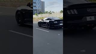 Ford Mustang GT In Midnight Black #shorts #fordmustang #youtube #youtuber #luxurycars #car #carlover