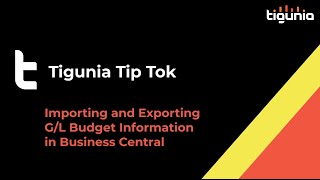 Importing and Exporting G/L Budget Information - Tigunia TipTok