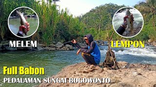 Terlalu Mudah 🔴 Mancing Melem Dan Lempon Di Spot Ini . . . Pedalaman Sungai Bogowonto