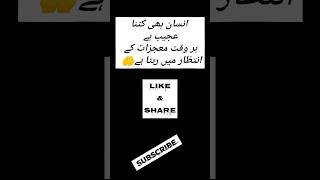 Urdu quotes /معجزات کی تلاش/#shorts #ytshort @tahiracheema_23