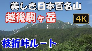 越後駒ヶ岳  美しき日本百名山。枝折峠ルート。日帰り。大絶景の雲海の滝、大展望の山頂へ。Mt.Echigokomagatake.ver.2