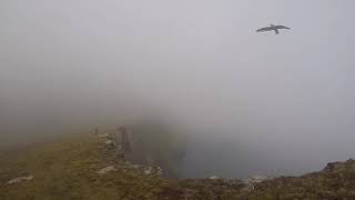 The Cliffs of Hirta... Get as close to the edge as you dare!