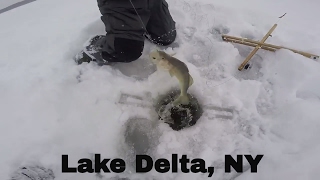 Another Round On Lake Delta New York