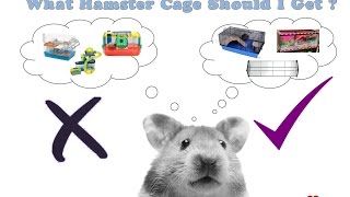 What Hamster Cage Should I Get ?