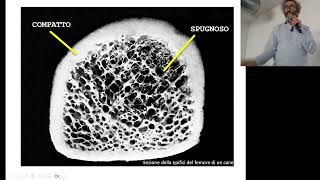 BCT_A_Tessuto Osseo Terza Parte