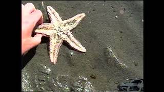 Kira 07 31 2005 Low Tide