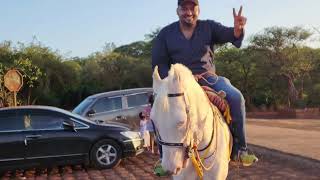 Horse Riding Mahabaleshwar