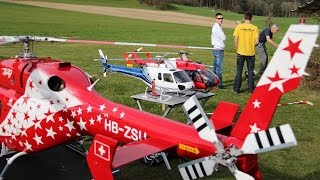 A.L.K. Heli Frühlingstreffen 2015