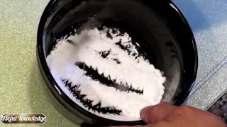 How to Make Homemade Baking Powder and the Cool Science Behind It - Useful Knowledge