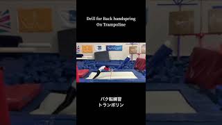 Professional Back Handspring training #short