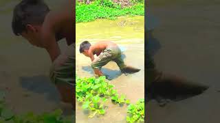 Hand Fishing Video 2023 ｜ Fishing videos ｜ #fishing #shorts ypXzKDFOrFI #ytshort #video