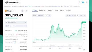 Bitcoin & altcoin bull market