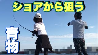 【ショアジギング】ショアから狙う青物(解説付き)w