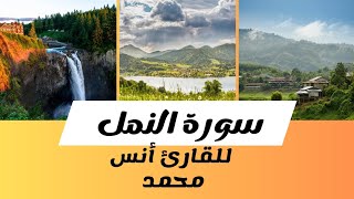 سورة النمل كاملة للقارئ أنس محمد تلاوة رائعة للقرآن الكريم |Surah Al-Naml Anas Muhammad