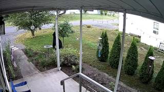 A black bear appearing at front yard captured via Microseven cam...