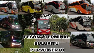 Hunting bis sore di terminal Bulupitu Purwokerto