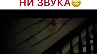 Мир в котором нельзя издавать ни звука 😲😲