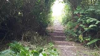 North Island Trails - The Old Schoolhouse Creek Trail