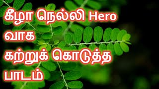 கீழா நெல்லி கற்றுக்கொடுத்த பாடம்/life lessons /life changing video in tamil