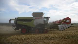 Harvest 2023 - Huge Claas 8900 Lexion Harvesting Winter Barley