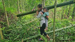 Prepare bamboo to build the kitchen, bring water from the stream to the house