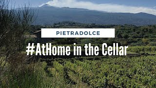 #AtHome in the Cellar with Pietradolce Winery