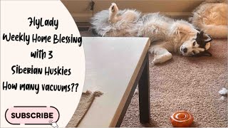 FlyLady Weekly Home Blessing and 3 Siberian Huskies- will I ever get it right?