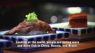 Sushi: The Global Catch - Trailer