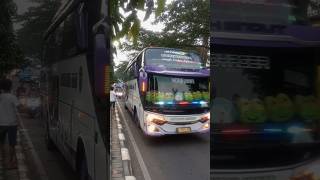 Klakson Telolet Basuri Ala Bus Cah Endut//Bungsu Mekar Trans #basuri #shorts