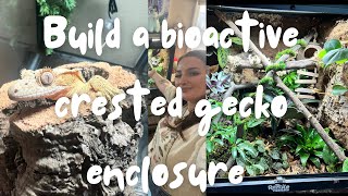 Let’s build a bioactive crested gecko enclosure!! (and custom background using dubia enclosure)