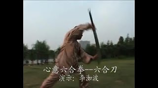 Henan Xinyi Quan 河南心意拳 - 10 Animals and Weapons