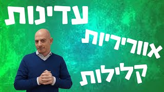 עדינות אווריריות וקלילות