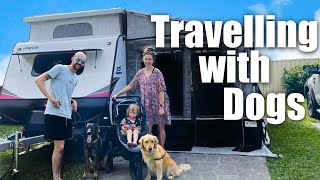 Travelling with Dogs My Set Up Australia 2022