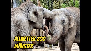 Unser Rundgang im Allwetter Zoo Münster Ostern 2021